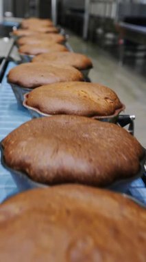 Taze pişmiş kekler fırından taşıyıcıya taşınır. Modern bir şekerleme fabrikasında kapkek üretimi. Otomatik kek üretimi. Dikey video