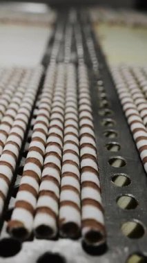Çikolatalı gofret rulosu üretimi. Çikolatalı waffle ruloları bir şekerleme fabrikasında konveyör boyunca ilerler. Yiyecek endüstrisi. Dikey video.