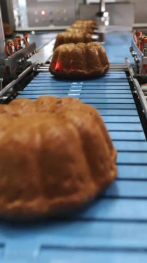 Taze pişmiş kekler fırından taşıyıcıya taşınır. Modern bir şekerleme fabrikasında kapkek üretimi. Otomatik kek üretimi. Dikey video