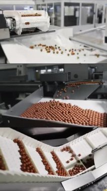 Çikolata fabrikasında çoklu ekran kolajı. Çikolata topları taşıma bandına düşer. Şekerleme ve çikolata üretimi için şekerleme fabrikası. Dikey video.