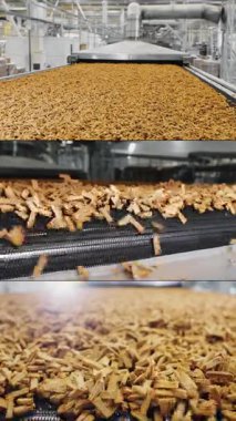 Fabrikadaki kraker üretiminin çoklu ekran kolajı. Taşıyıcı bantta ince doğranmış krakerler. Altın hamurlu beyaz ekmek krakerleri. Dikey video.