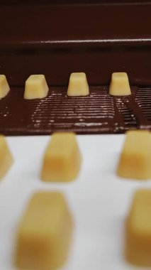 Çikolata fabrikasında taşıma bandı. Şeker üretimi. Çikolata dökülüyor. Çikolata, şekerleme üretim fabrikasındaki konveyör şeridi boyunca ilerler. Dikey video