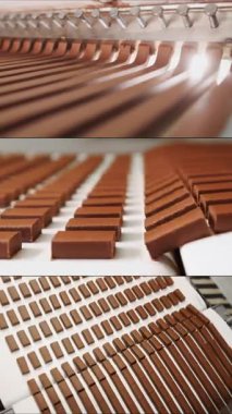 Çikolata fabrikasında çoklu ekran kolajı. Şeker üretimi. Çikolata, şekerleme üretim fabrikasındaki konveyör şeridi boyunca ilerler. Dikey video.