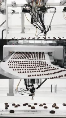 Çikolata fabrikasında çoklu ekran kolajı. Şeker üretimi. Çikolatalar bir şekerleme fabrikasında şekerleme ürünleri üreten bir konveyör bandı boyunca hareket ederler. Dikey video.