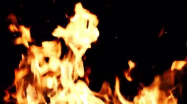 Siyah arka planda alevlerin dillerini yavaş çekimde yakmak. Kamp ateşinden yanan ateş. Bir meşalenin kızgın alevi.