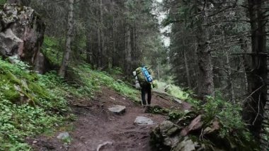 Omuzlarında sırt çantası olan genç bir erkek turist, orman yolu boyunca dağın tepesine tırmanır..
