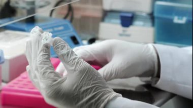 Laboratuvar çalışanlarının beyaz koruyucu eldivenler giyip etiketli örnek tüpleri ellerinde tutarak rafa koydukları yakın plan fotoğrafları. Modern bir laboratuvarda DNA incelemesi kavramı. 