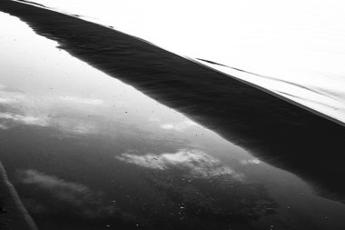 doğanın siyah beyaz fotoğrafı