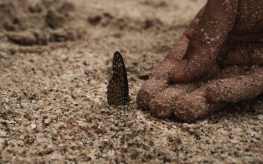 Kelebek ve insan eli