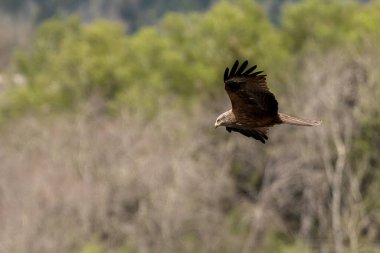 visite dans le jura