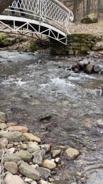 Şeffaf suyla dağ nehri