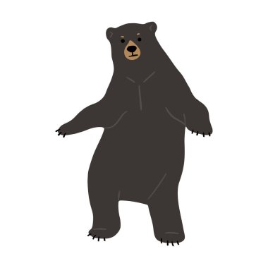 American Black Bear Tek Sevimli 27, vektör illüstrasyonu