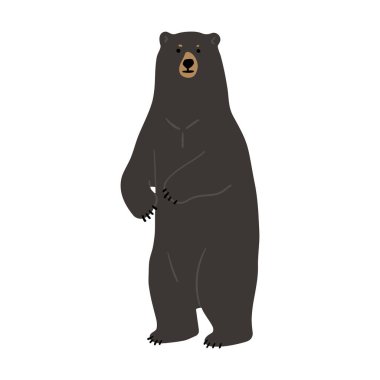 Amerikan Siyah Ayısı Tek Sevimli 1, vektör illüstrasyonu