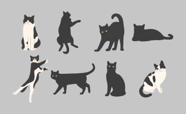 Gri arkaplanda siyah kedi şirin 5, vektör illüstrasyonu.