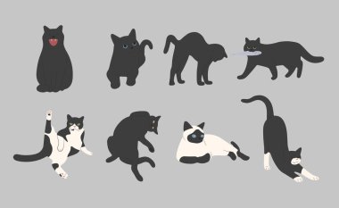 Gri arkaplanda siyah kedi şirin 2, vektör illüstrasyonu.