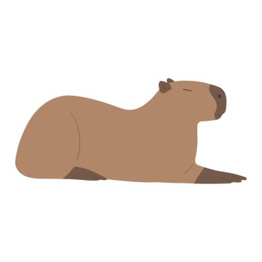 capybara single 42 cute on a white background, vector illustration. capybara is the largest rodent. clipart