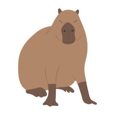 capybara single 37 cute on a white background, vector illustration. capybara is the largest rodent. clipart