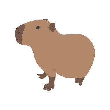 Capybara, beyaz arka planda 35 sevimli, vektör illüstrasyonlu. Capybara en büyük kemirgendir..