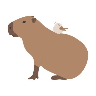 Capybara, beyaz arka planda 32 sevimli, vektör illüstrasyonu. Capybara en büyük kemirgendir..