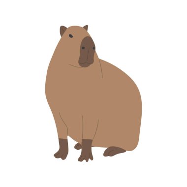 Capybara, beyaz arka planda 27 sevimli, vektör illüstrasyonu. Capybara en büyük kemirgendir..