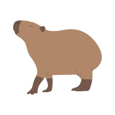 capybara single 16 cute on a white background, vector illustration. capybara is the largest rodent. clipart