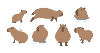 capybara 5 cute on a white background, vector illustration. capybara is the largest rodent. clipart