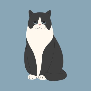 Beyaz arka planda 42 numaralı kedi, vektör illüstrasyonu..