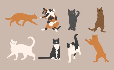 cat cute 11 on a white background, vector illustration. clipart