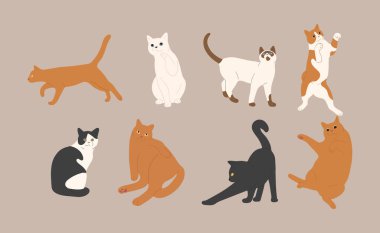 beyaz arkaplan üzerinde kedi şirin 7, vektör illüstrasyon.