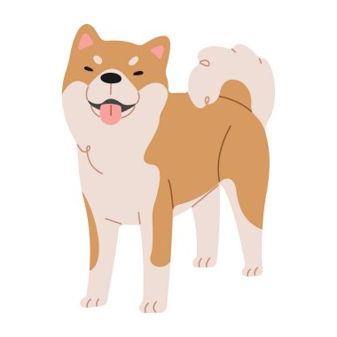 Beyaz arkaplanda Shiba Inu 1 şirin, vektör illüstrasyonu.