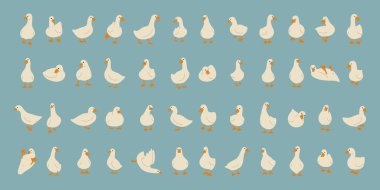 Ördek beyazı koleksiyonu. Mavi arkaplanda sevimli, vektör illüstrasyonu.