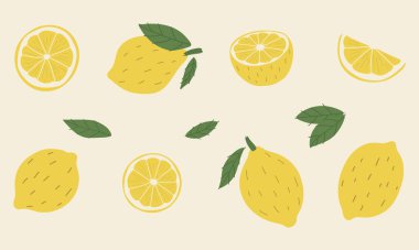 limon 3, vektör illüstrasyonu