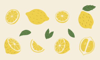 limon 1, vektör illüstrasyonu