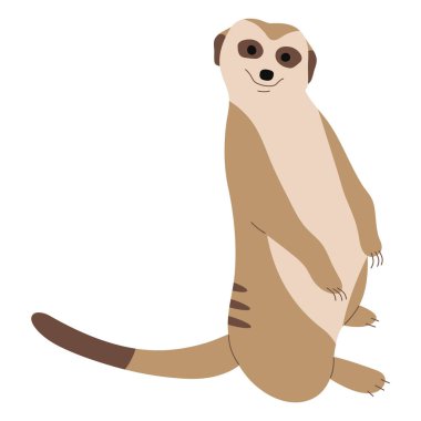 Meerkat Tekli Beyaz arkaplan üzerinde 19 şirin, vektör illüstrasyonu