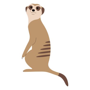 Meerkat Tekli Beyaz arkaplan üzerinde şirin, vektör illüstrasyonu