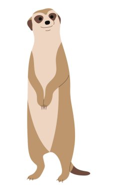 Meerkat Tek 12 beyaz arkaplan üzerinde şirin, vektör illüstrasyonu