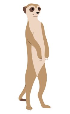 Meerkat 6 tatlı beyaz arkaplan, vektör illüstrasyon