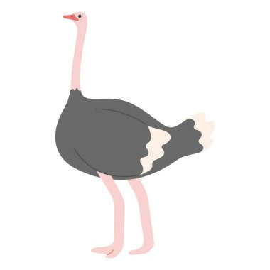 Devekuşu Tekli 9 beyaz arkaplan üzerinde şirin, vektör illüstrasyonu. 