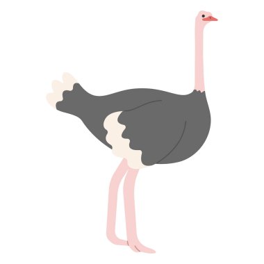 Devekuşu Tekli Beyaz zemin üzerinde sevimli, vektör illüstrasyonu. 