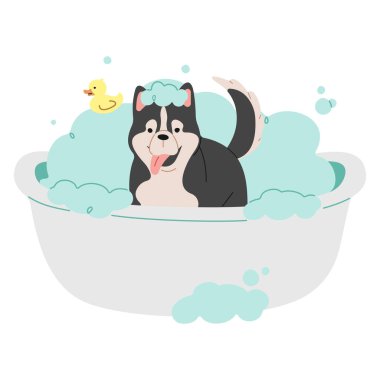 Hayvan Bakımı Bekar 3 beyaz arkaplan üzerinde sevimli, vektör illüstrasyonu.