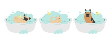 Beyaz arkaplanda 6 sevimli hayvan bakımı, vektör illüstrasyonu.