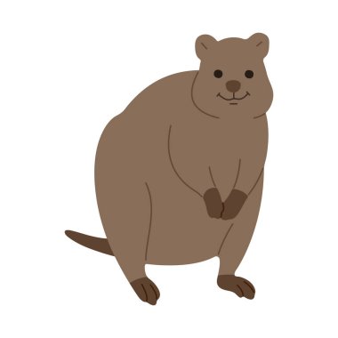 quokka single 9 beyaz arkaplan üzerinde şirin, vektör illüstrasyonu. 