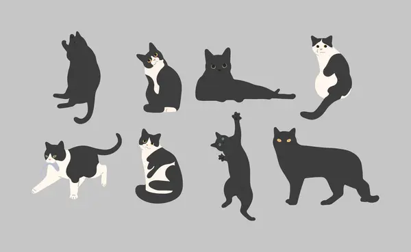 Gri arka planda siyah kedi şirin 16, vektör illüstrasyonu.