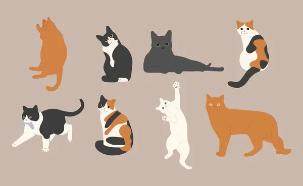 beyaz arkaplan üzerinde kedi şirin 16, vektör illüstrasyon.