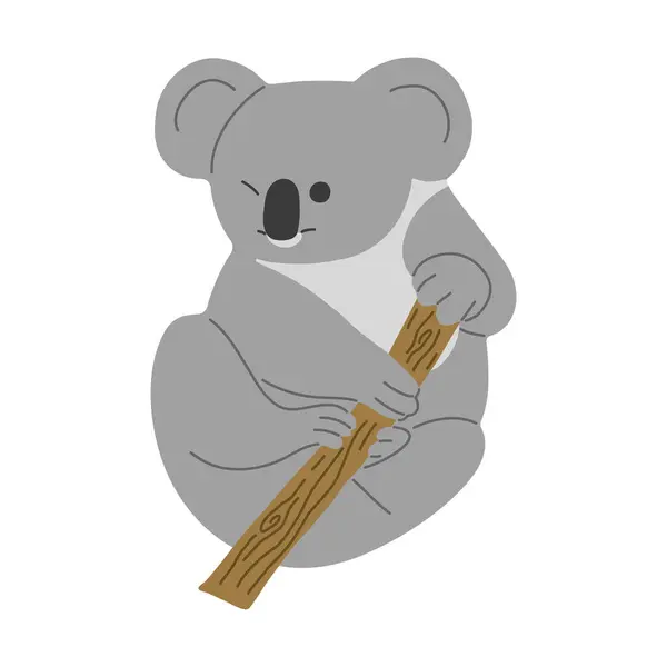 Beyaz arkaplan üzerinde tek 12 sevimli Koala, vektör illüstrasyonu