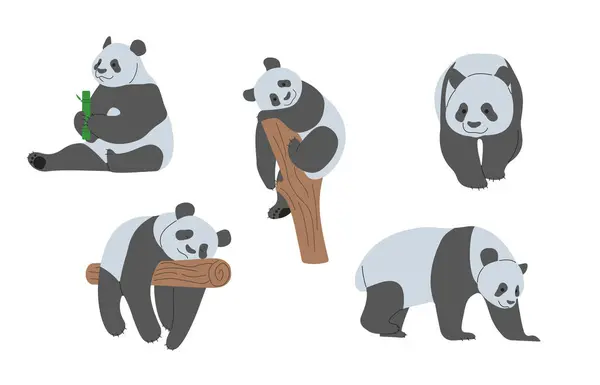 Beyaz arka planda sevimli panda 1, vektör illüstrasyonu