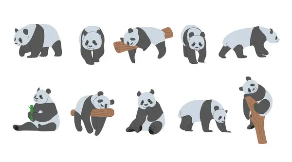 Panda Koleksiyonu 1 beyaz arka planda sevimli, vektör illüstrasyonu