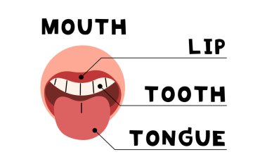 Beyaz arkaplanda gövde parçaları 9 şirin, vektör illüstrasyonu.