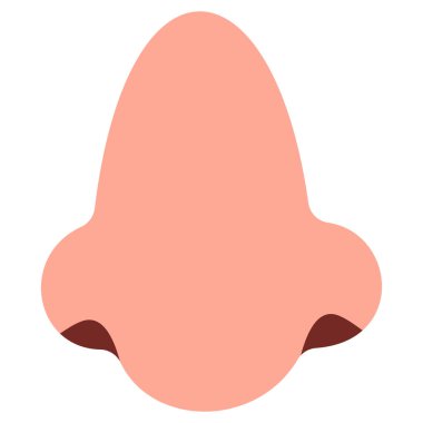 Beyaz arkaplanda şirin burun, vektör illüstrasyonu.