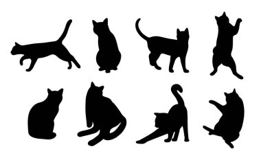 Beyaz arka planda kedi gölgesi 10 şirin, vektör illüstrasyonu.